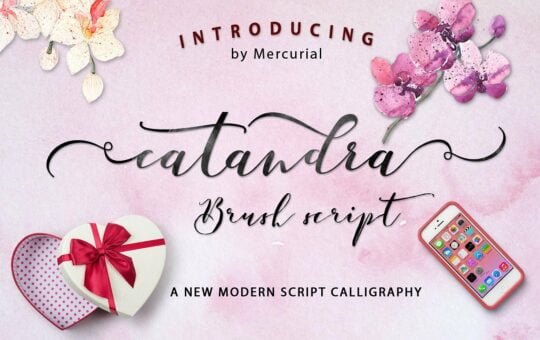 catandra-brush-script-font.jpg