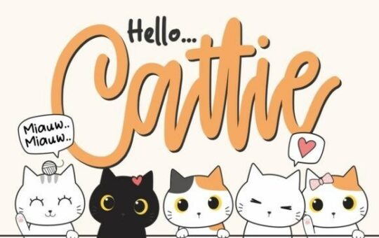 cattie-font.jpg