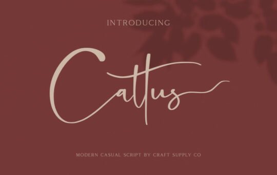 cattus-script-font.jpg