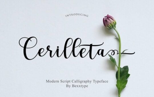 cerilleta-script-font-768x512-1.jpg
