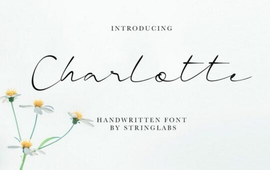 charlotte-handwritten-font-1.jpg