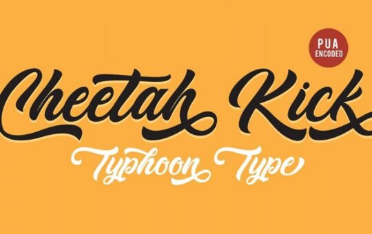 cheetah-kick-script-font-800x600-1.jpg