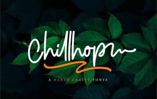 chillhop-script-font.jpg