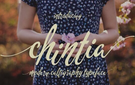 chintia-script-font.jpg