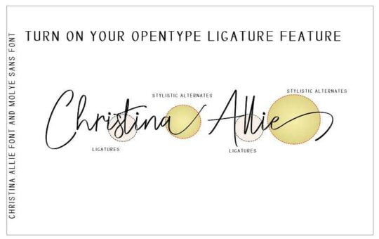 christina-allie-script-font-13.jpg