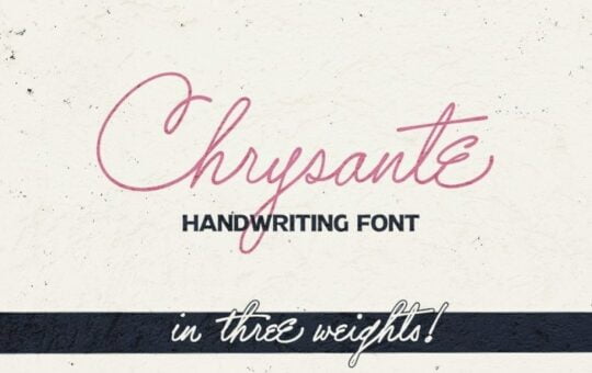 chrysante-font-1.jpg