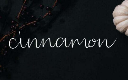 cinnamon-font.jpg