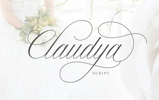 claudya-script-font.jpg