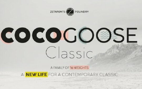 cocogoose-classic-font-famly.jpg
