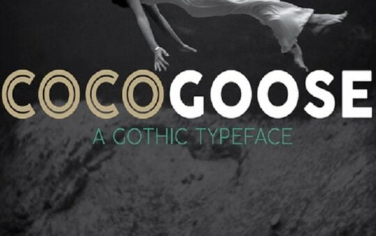 cocogoose-pro.jpg
