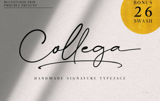 collega-signature-font-1.jpeg