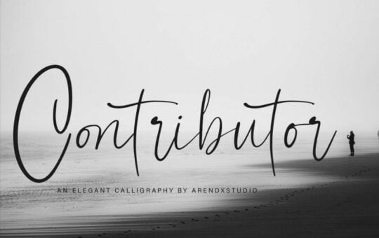 contributor-calligraphy-font-1.jpg