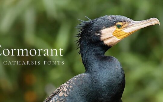 cormorant-font.jpg