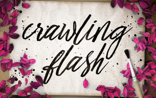 crawling-flash-script-font-1.jpg