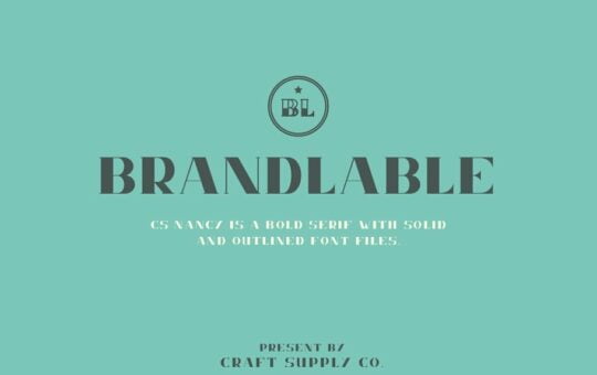cs-nancy-font-family.jpg