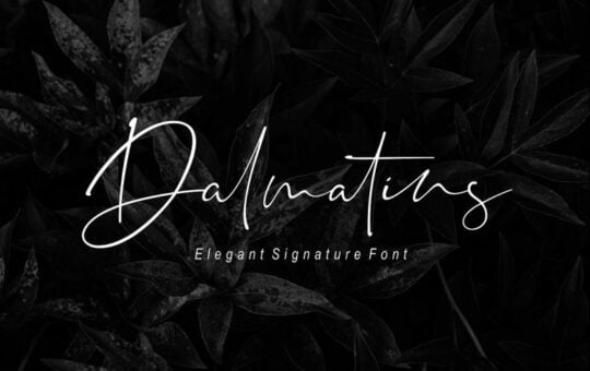 dalmatins-signature-font-768x512-1.jpg