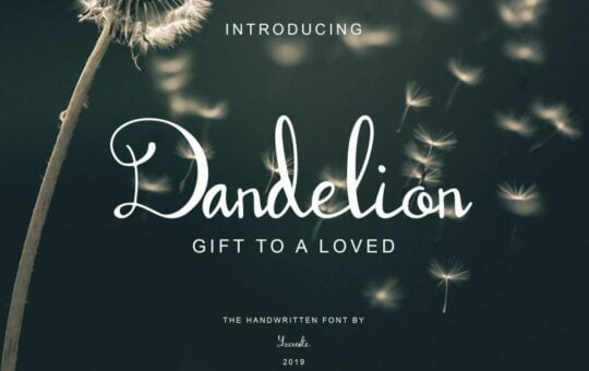 dandelion-font-1.jpg