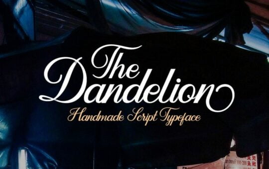 dandelion-script-font-768x512-1.jpg