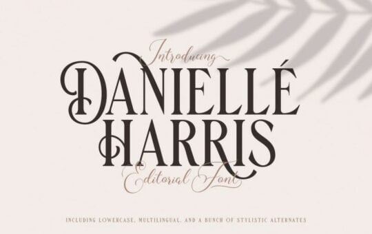 danielle-harris-display-font-1.jpg