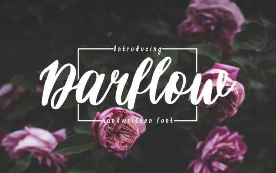 darflow-handwritten-script-font.jpg