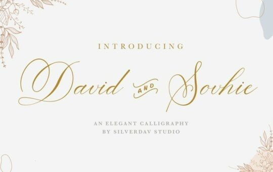 david-and-sovhie-font-1.jpg
