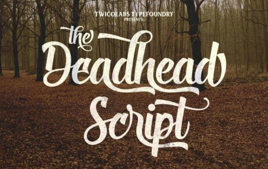 deadhead-script-font-768x512-1.jpg