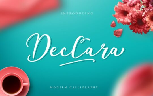 declara-script-font.jpg