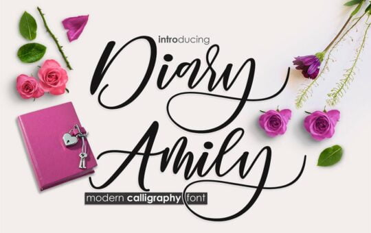 diary-amily-script-font.jpg