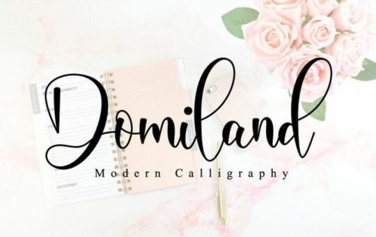 domiland-script-font.jpg