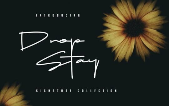 drop-stay-signature-font-768x512-1.jpg