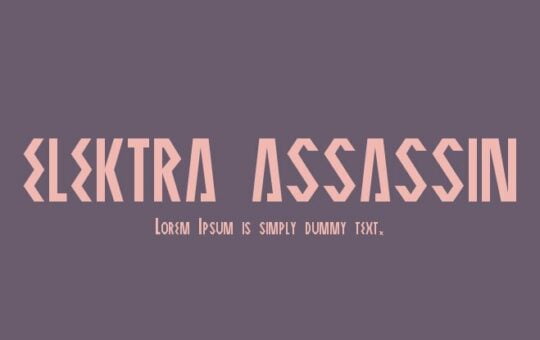 elektra-assassin-2.jpg