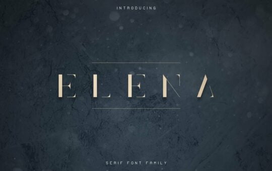 elena-luxe-serif-font-11.jpg