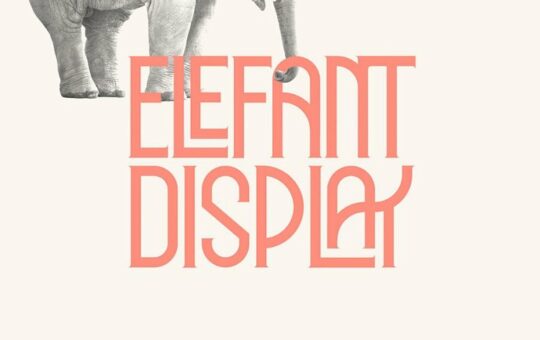elephant-display-font-1.jpg