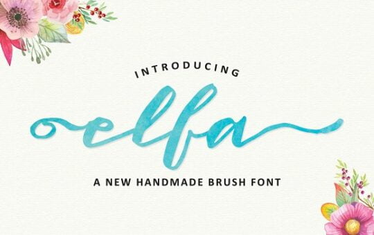elfa-brush-font.jpg