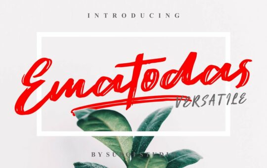 ematodas-brush-font.jpg