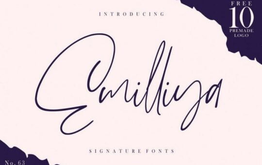 emilliya-signature-font.jpg