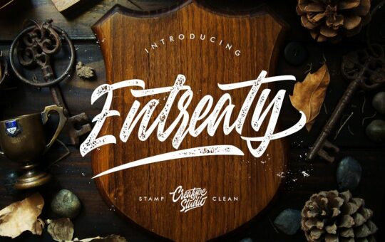 entreaty-script-font.jpg
