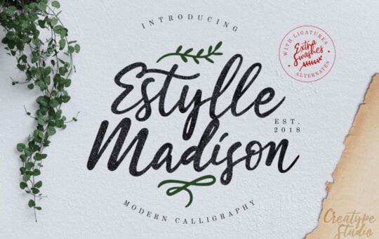 estylle-madison-script-font-768x512-1.jpg