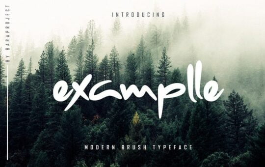examplle-font-1.jpg