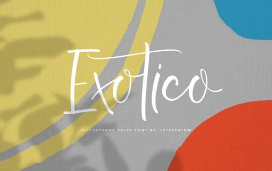 exotico-script-font-1.jpg