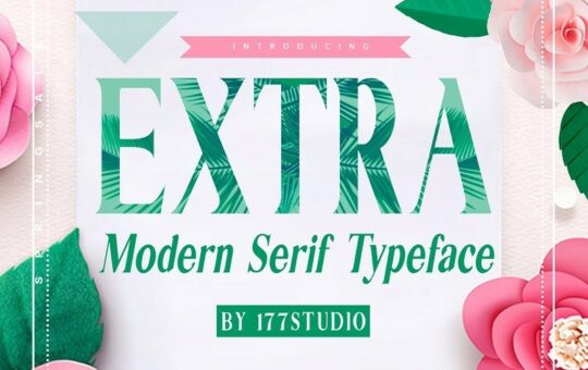 extra-serif-font.jpg