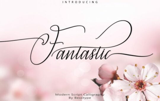 fantastic-script-font-768x512-1.jpg