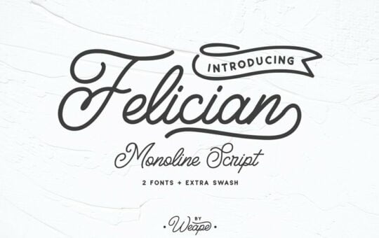 felician-script-font.jpg
