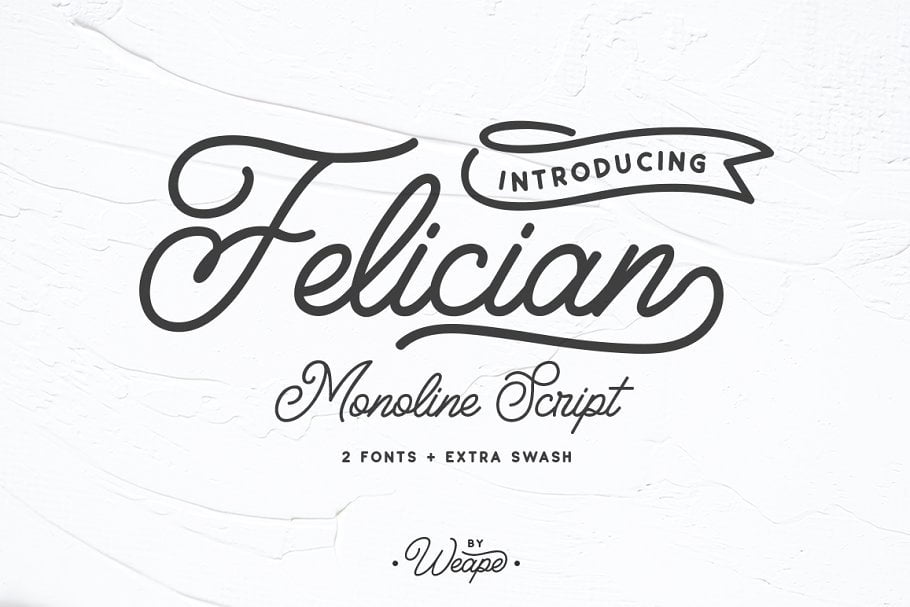 felician-script-font.jpg
