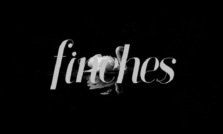 finches-serif-italic-font.jpg