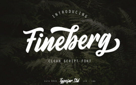 fineberg-script-font.jpg