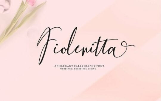 fiolenitta-script-font-768x512-1.jpg