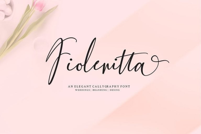 fiolenitta-script-font-768x512-1.jpg