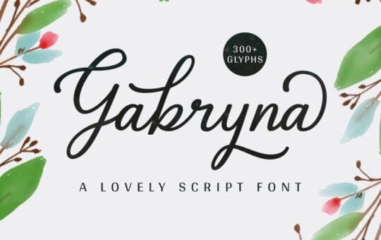 gabryna-script-font.jpg
