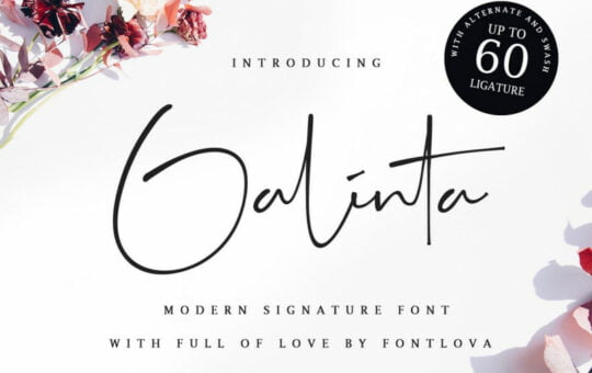 galinta-signature-font-1.jpeg